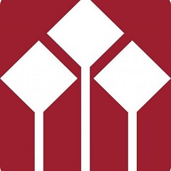 广州天河SEO排名：掌握数字营销的核心，让您的网站迅速上升至顶峰
