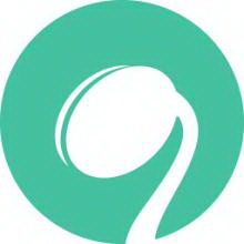 提升网站SEO排名，加盟价格揭秘：成功秘诀解析