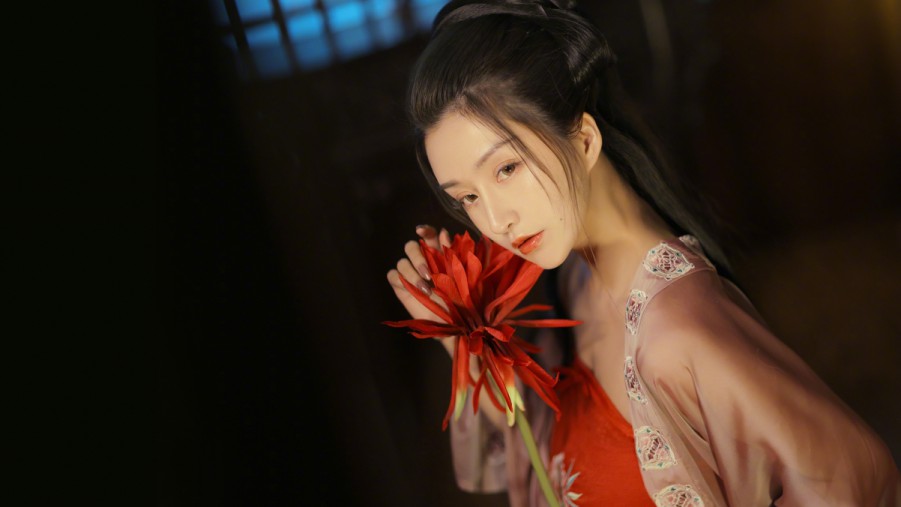 编程怎么收费